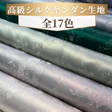 ō VN _n ԁX̍iS17FjfB[v_[NA[XJ[ JbgNX 54E10P y100z