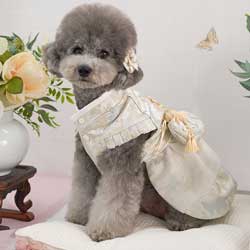 �y�b�g�ؕ� �`���S�� �R�� ���� �L���i�t�@�����F�jS�`5XL