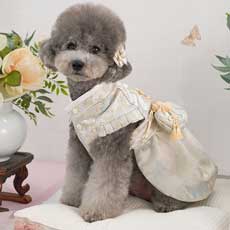 �y�b�g�ؕ� �`���S�� �R�� ���� �L���i�t�@�����F�jS�`5XL