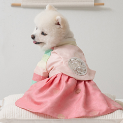 �y�b�g�ؕ� �`���S�� �R�� ���� �L���i�t�@�����܃s���N�jS�`5XL