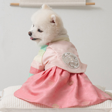 �y�b�g�ؕ� �`���S�� �R�� ���� �L���i�t�@�����܃s���N�jS�`5XL