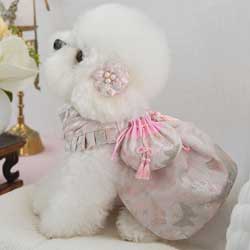 �y�b�g�ؕ� �`���S�� �R�� ���� �L���i�t�@���s���N�jS�`5XL