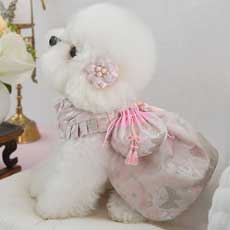 �y�b�g�ؕ� �`���S�� �R�� ���� �L���i�t�@���s���N�jS�`5XL