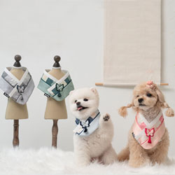 ���p �L�p �؍� �`�}�`���S�����P�[�v �R�ۃR�b�g�����n