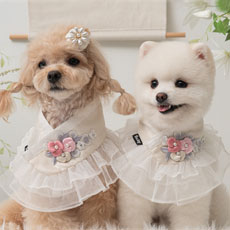 ���p �L�p �؍� �`�}�`���S�������t�����P�[�v �R�ۃR�b�g�����n