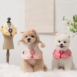 ���p �L�p �؍� �`�}�`���S�����t�����P�[�v �R�ۃR�b�g�����n