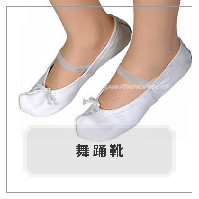 舞踊靴