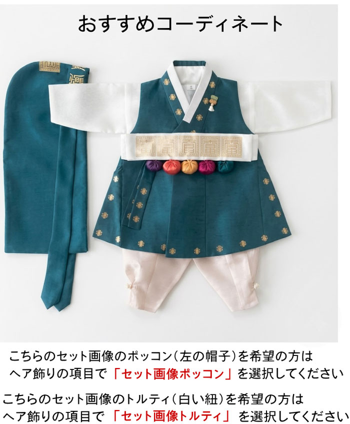 パジチョゴリ単品kテリム(身長70～75cm 100日サイズ) ベビーチョゴリ(0