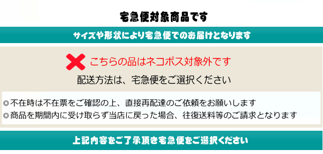 ���i�摜11
