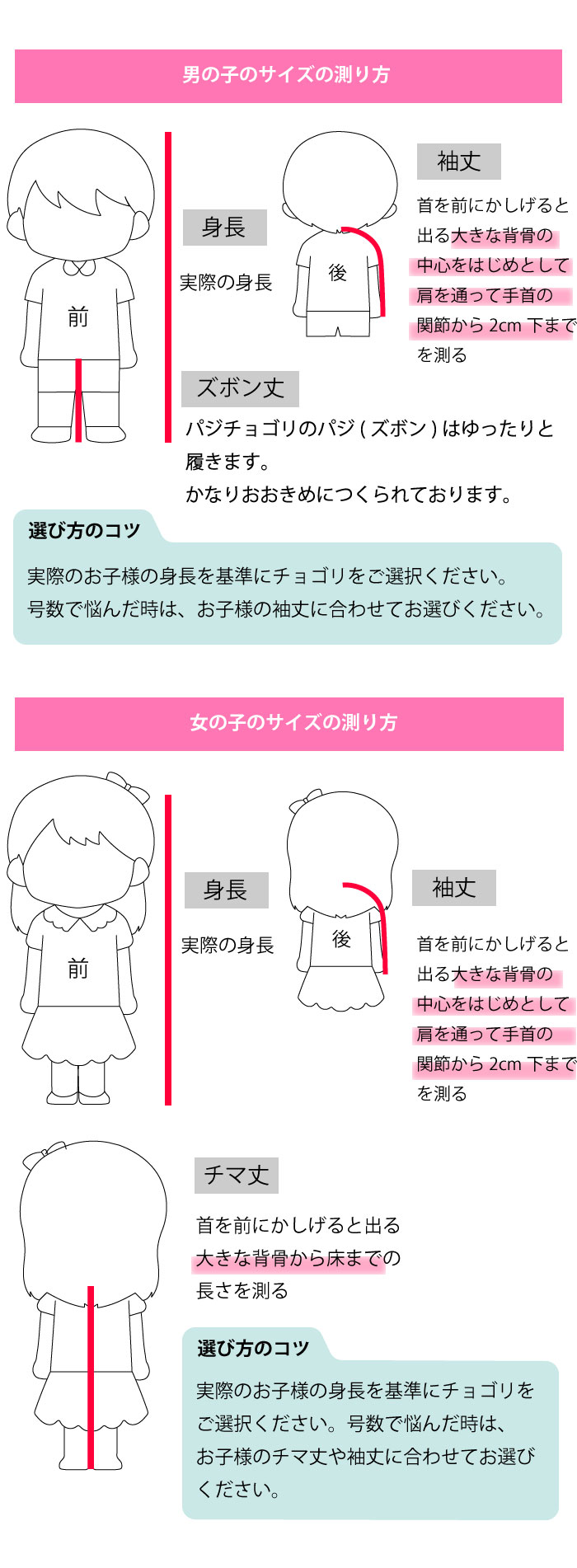 j̎qE̎qTCY̑